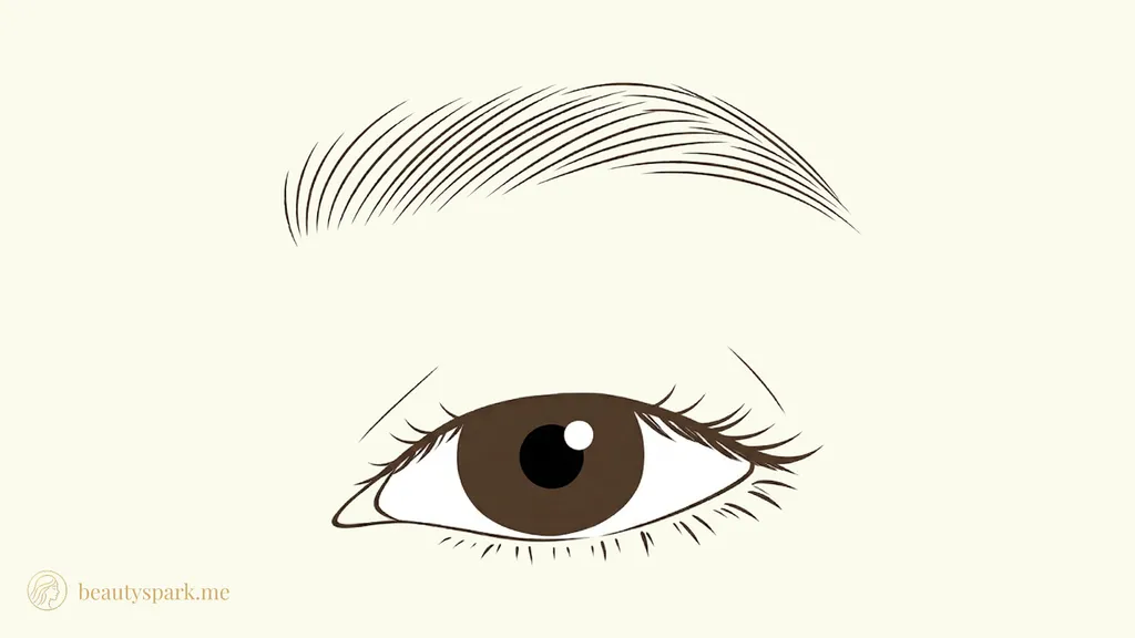 Monolid eye shape illustration